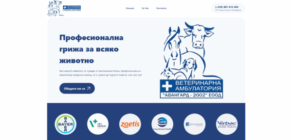 Персонализиран Дизайн на Уебсайт