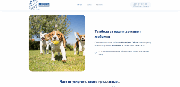 Персонализиран Дизайн на Уебсайт