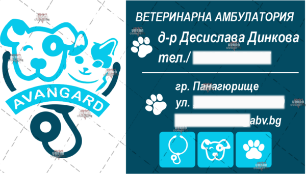 Business card example design