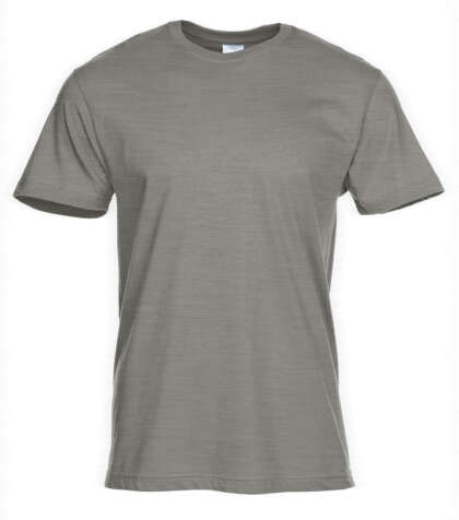 Gray T-Shirt