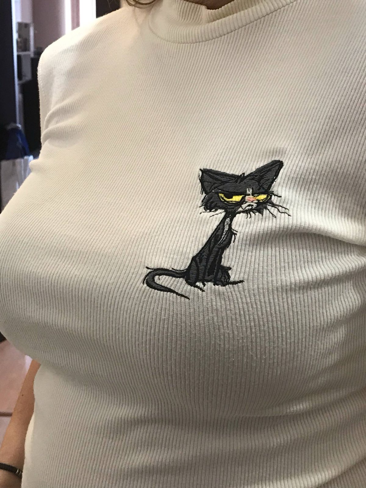 Сърдита коткаjpeg